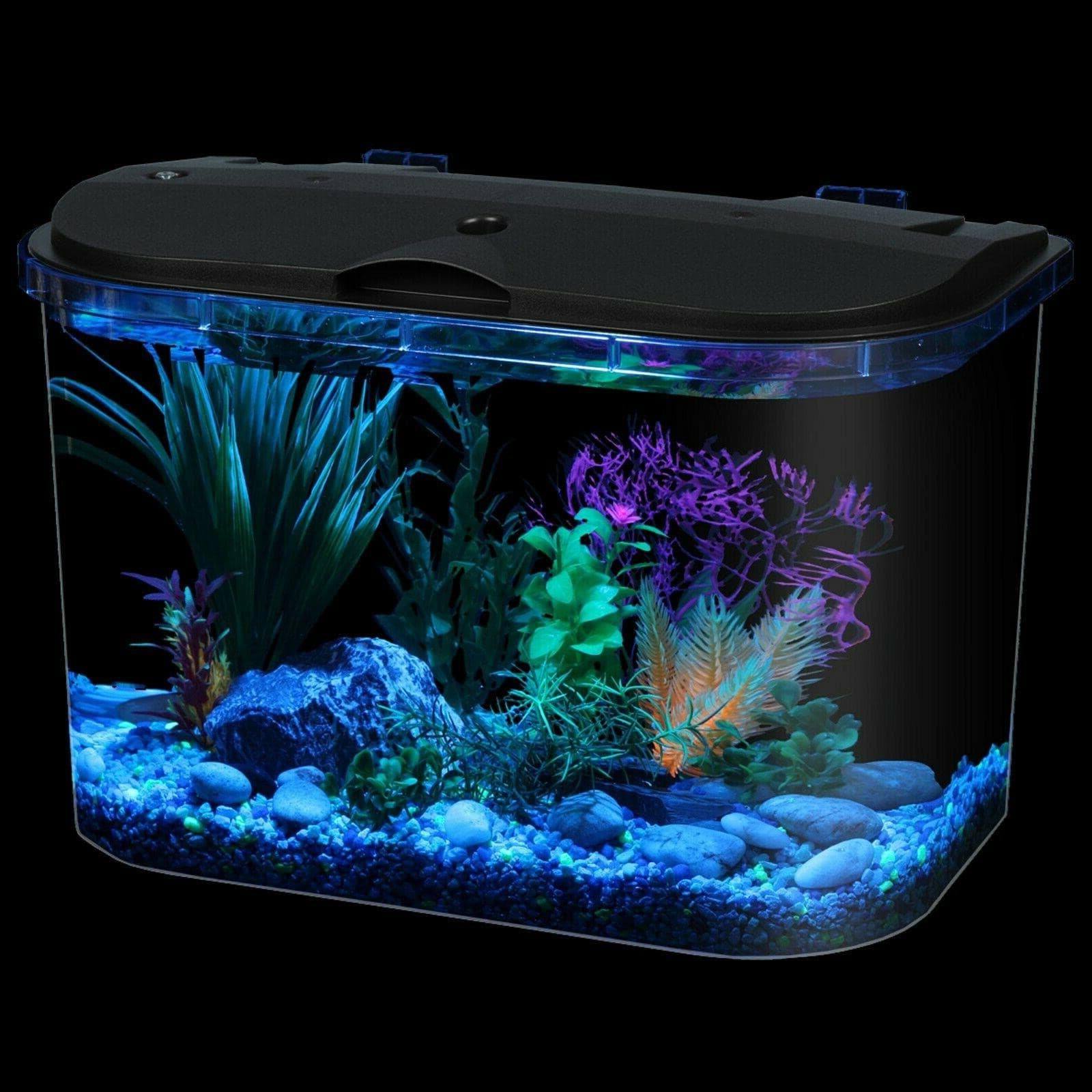 Hikari ICH-X A Disease Treatment for Salt Water Aquariums 4-Ounce Bottle 6