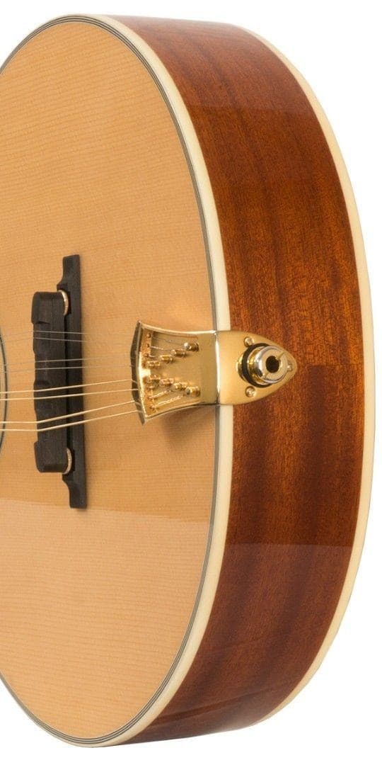 Gold Tone Model OM-800+ 8-String Solid Spruce Top Octave Mandolin with Hard Case 3