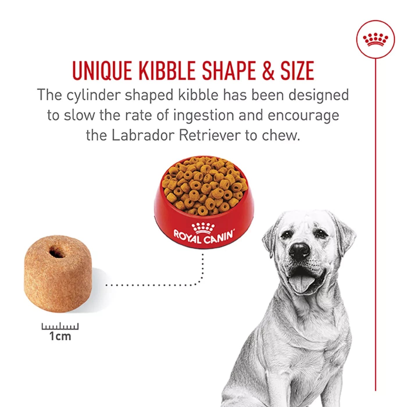 Royal Canin Labrador Retriever Adult Breed Specific Dry Dog Food - 30 Pound 4