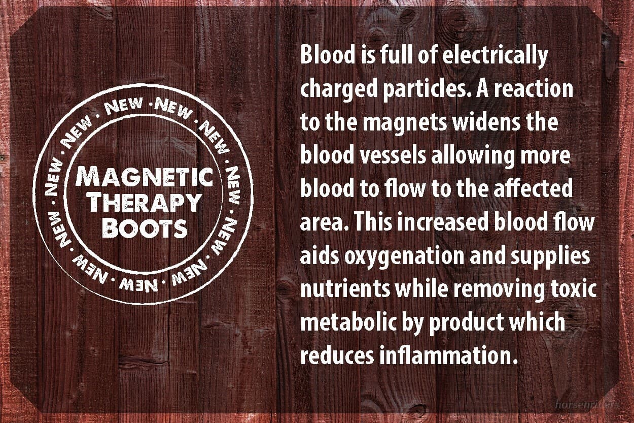 Horse Magnetic Therapy - Healing Ankle Wraps 3