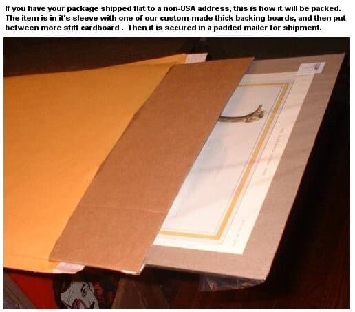 1944 USMC Marines Bougainville palm tree telephone pole photo Bell Telephone ad 5