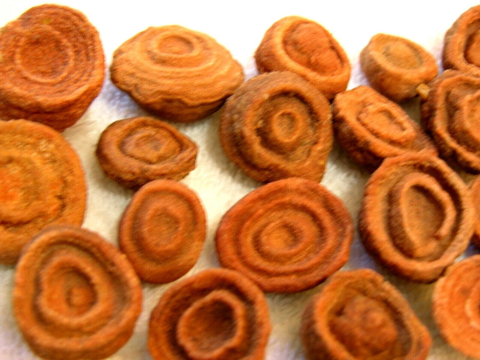 Stromatolite fossils ancient earth life 1 billion years 10 fossils per winner 3