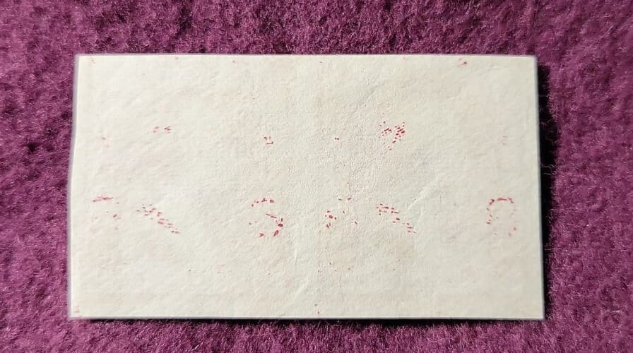 2 cent Washington Die Proof PAIR on stamp paper - Scott# 219DPe - Mint, NH 4