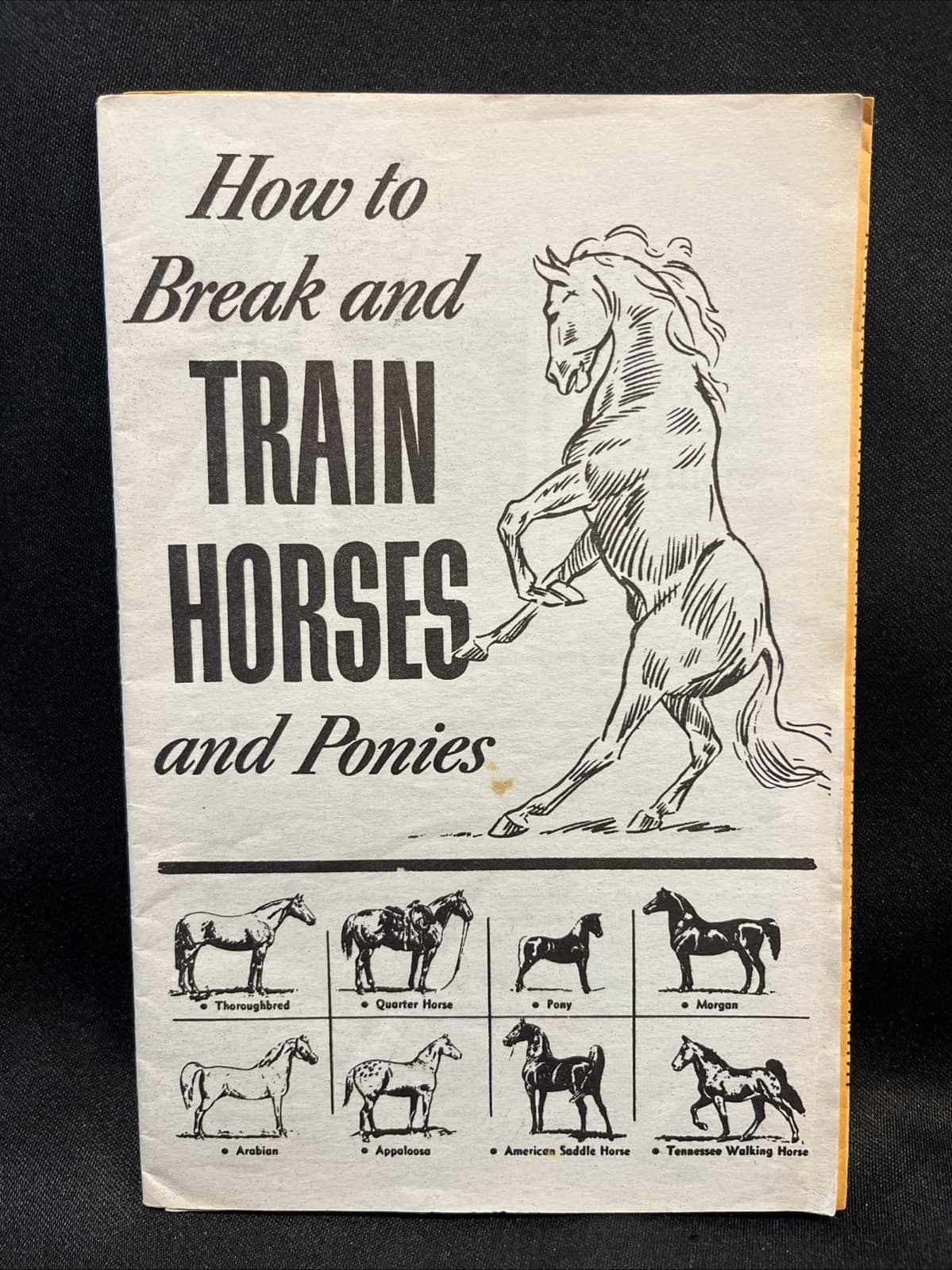 VTG 1930 How to Break and Train Horses & Ponies Booklet + Extra Prof Jesse Berry 2