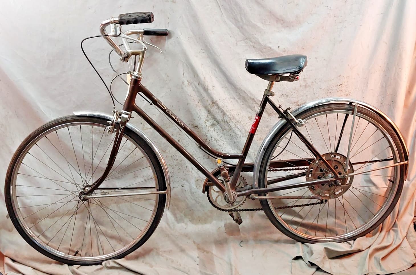 1972 Schwinn Collegiate Cruiser Bike 19.5" Large 5 Speed Steel USA Made StepThru 2