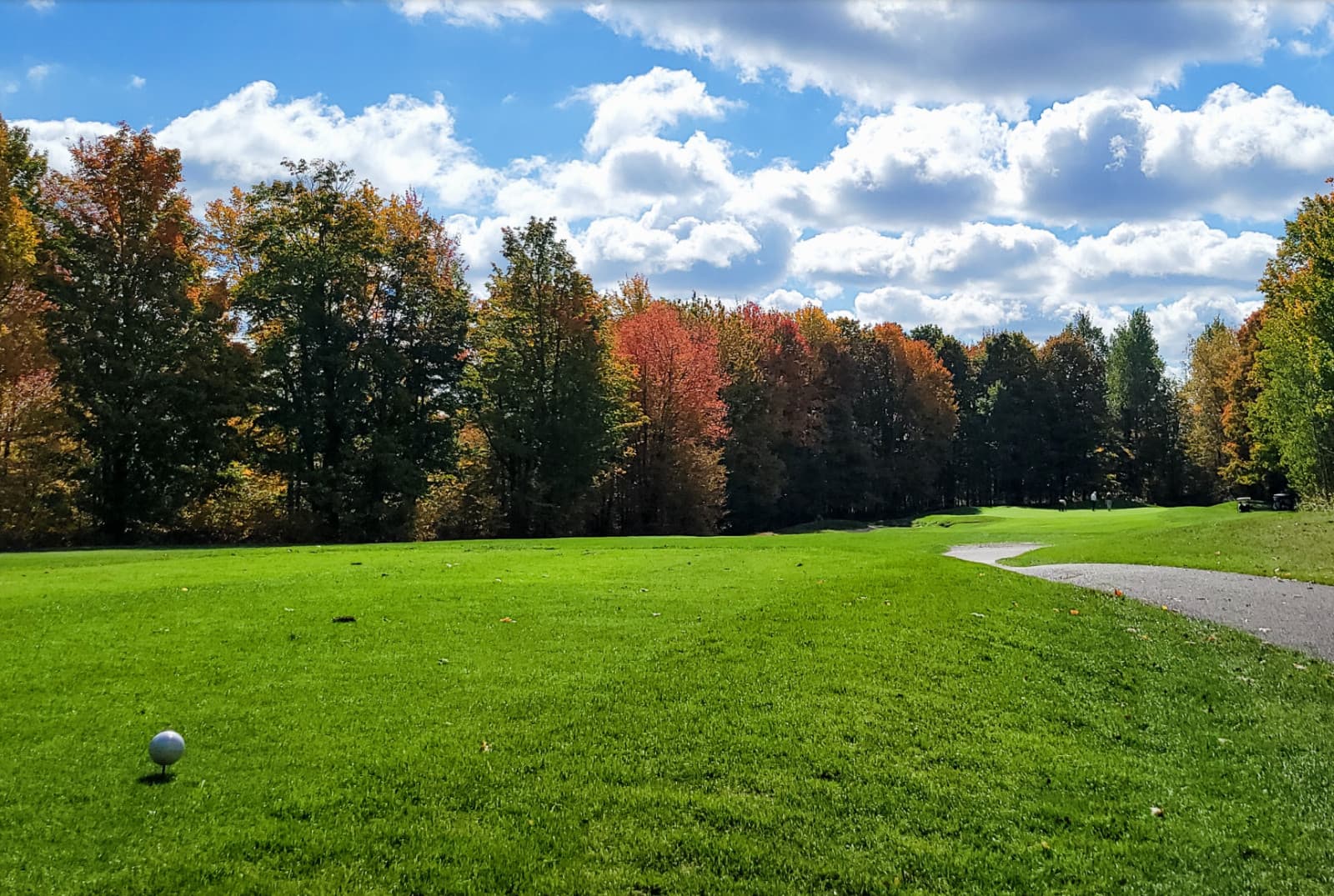 Mancelona Antrim County Michigan Payments Available Vacant Land Lot - .8 Acres 5