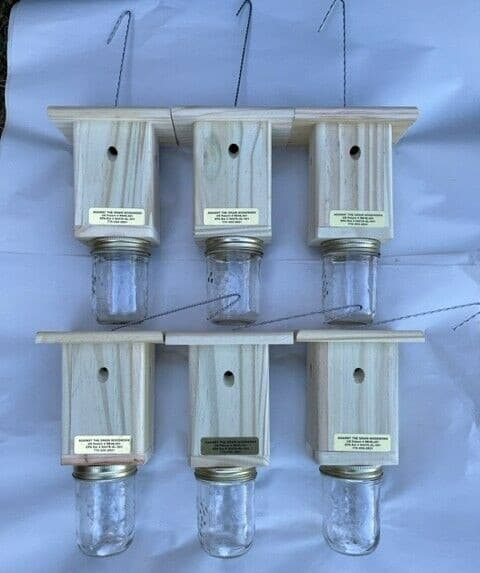 Best Carpenter Bee Trap - Patented Carpenter Bee Trap - Set of 6 Free Shipping