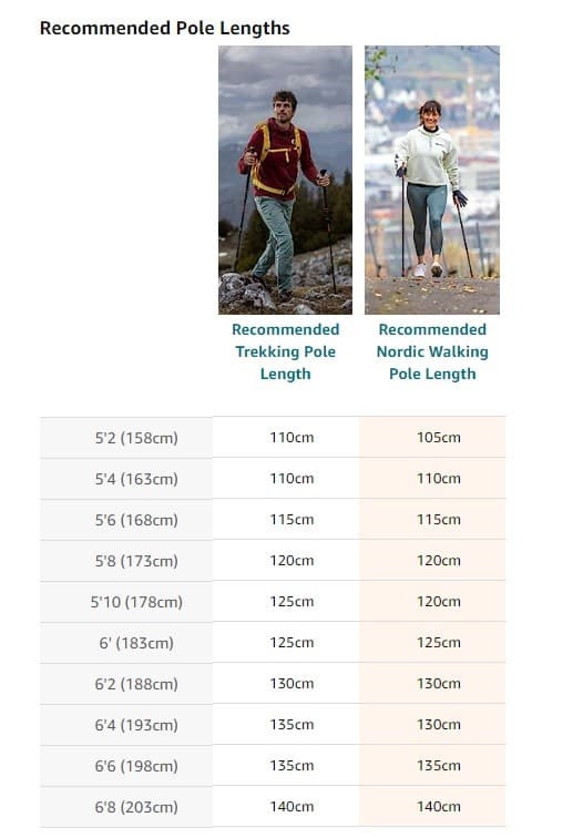 LEKI Nordic Walking Instructor Fully Adjustable Walking Pole 100130cm Light Blue 5