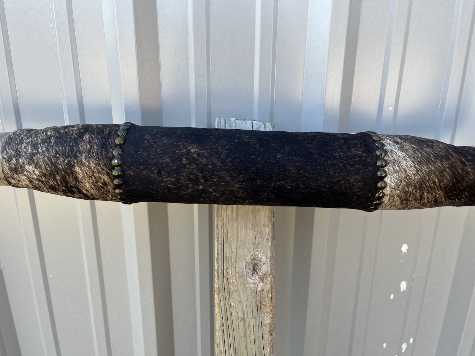 MOUNTED STEER HORNS 4 FEET WIDE LONGHORN Sanded Horn MOUNT BULL COW 4