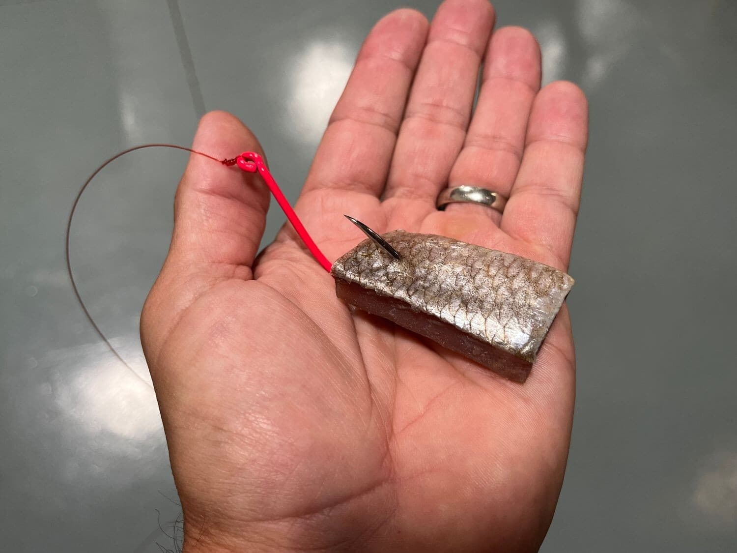 REAL Catfish Bait, Real Cutbait, No Refrigeration, Stays on Hook, NATURAL SCENT 3