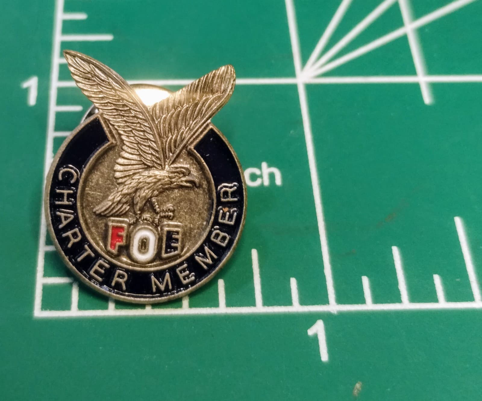 Fraternal Order of Eagles Charter Member Lapel Pin FOE 3