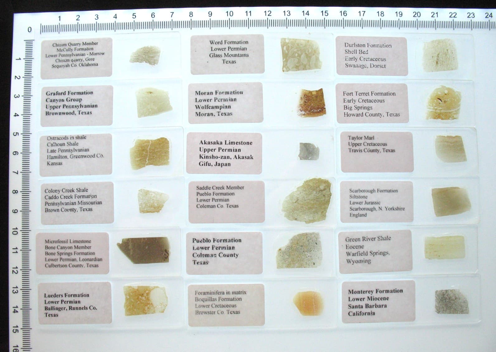 Geological Rock Formation 50 Thin Section Slides Precambrian to Miocene fossils 2