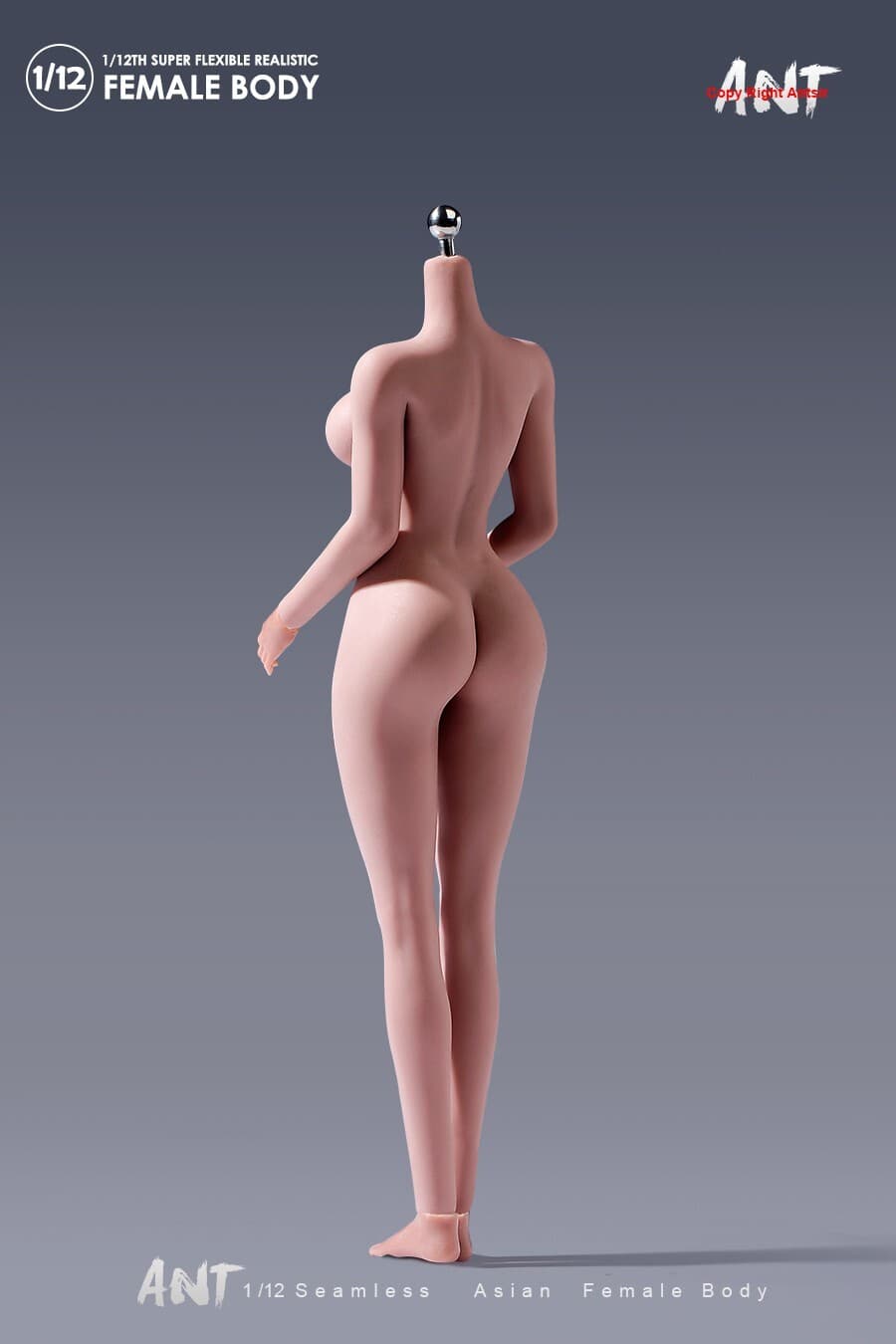 US ANT 1:12 Suntan Large Breast Plump Hip Seamless 6"Female Action Figure Body 3