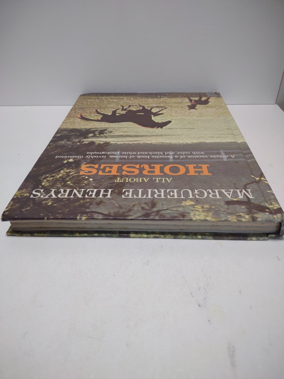 All About Horses Marguerite Henry HC Book 1967 Breeds Riding Warm Cold Bloods  3