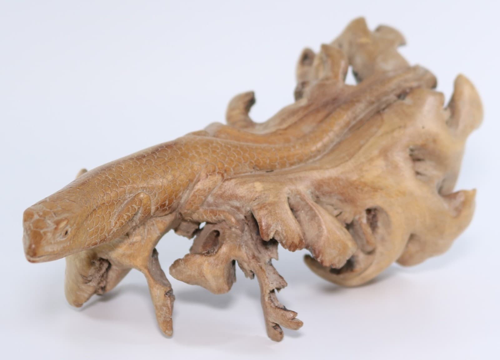 Hand-carved burl wood Komodo Dragon lizard sculpture Indonesia Artisans COA 7063 5