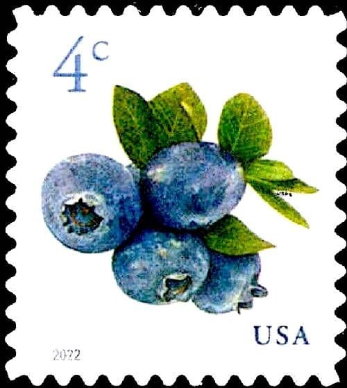 MINT Sheet of 20 BLUEBERRIES STAMPS Blueberry Fruit Antioxidants Health Benefits