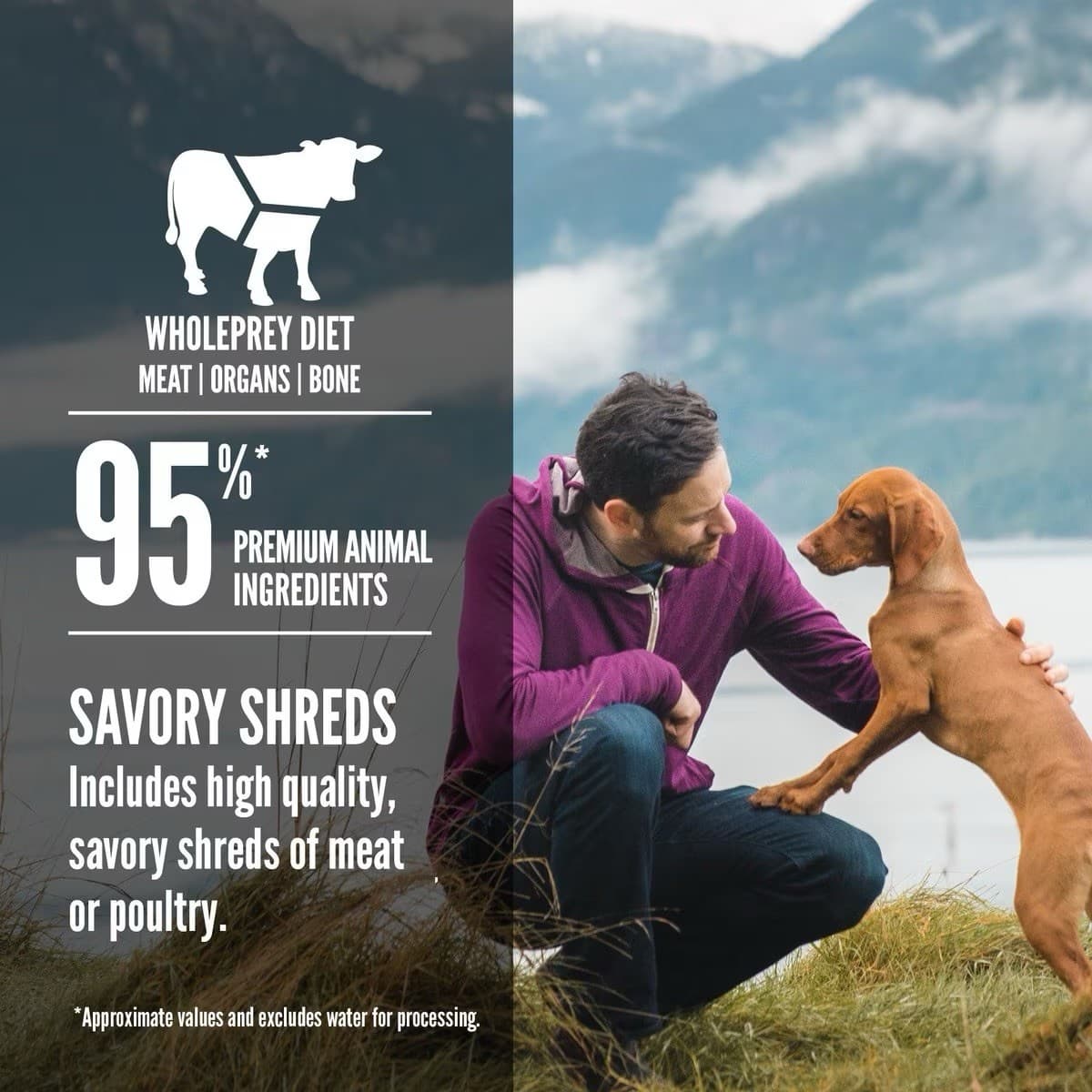 Orijen Beef Stew Canned Dog Food 12 Pack of 12.8 Oz Cans 4