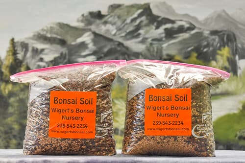 Two 1 Gallon Bags of Bonsai Soil - Lava Rock Mix (2 gallons of bonsai soil)