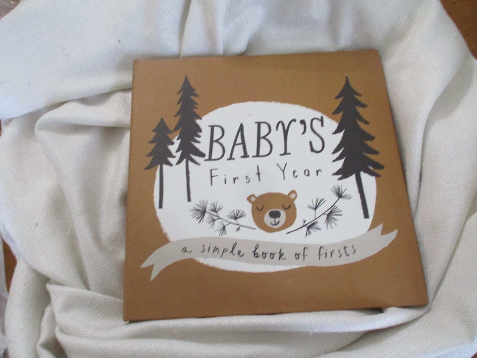 Babys First Year A Simple Book Of Firsts Little Camper  Lucy Darling bear