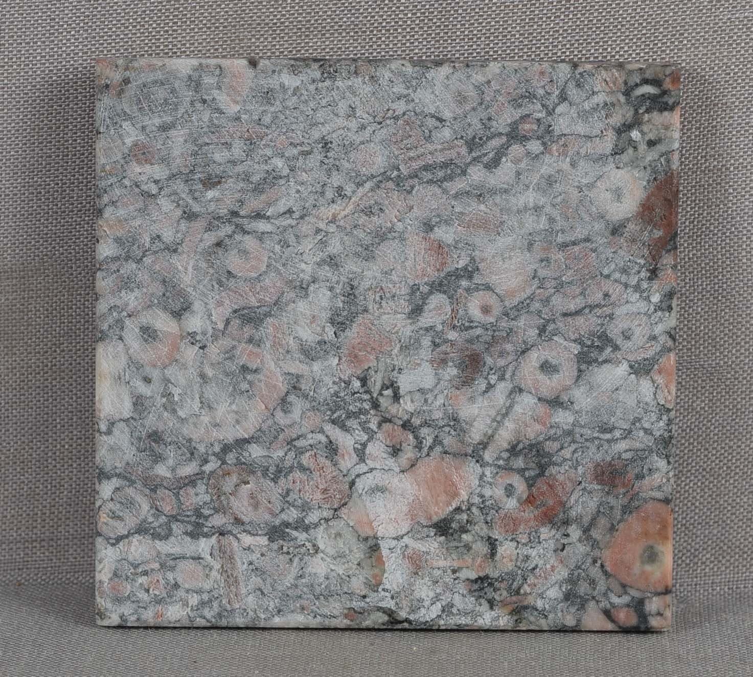 CRINOID STEM FOSSILS slab specimen 27 grams 3