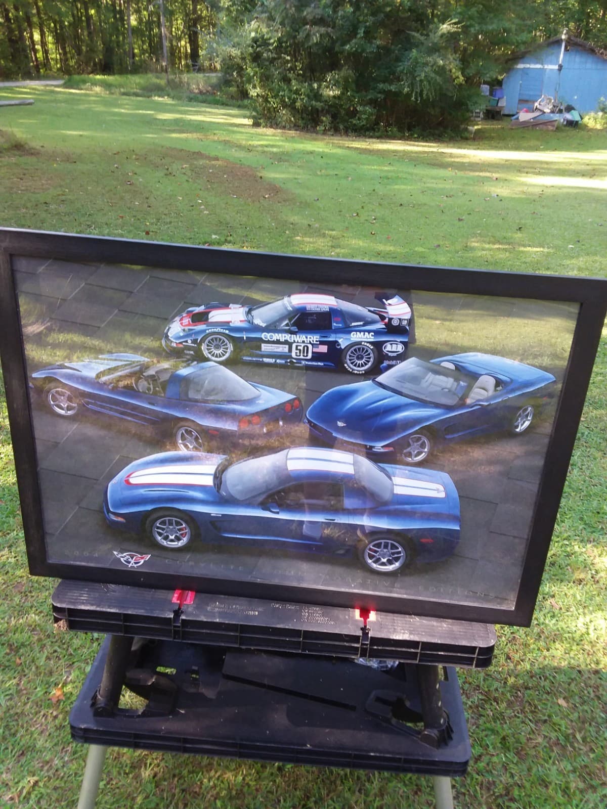 2004 CORVETTE COMMENORATIVE EDITIONS 24" X 36" POSTER-USED-READ 2