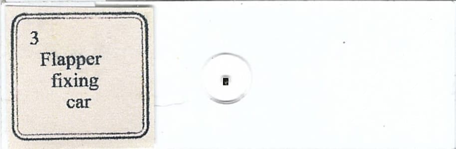 Flapper Fixing Car 3 Microphotograph Microscope Slide 2