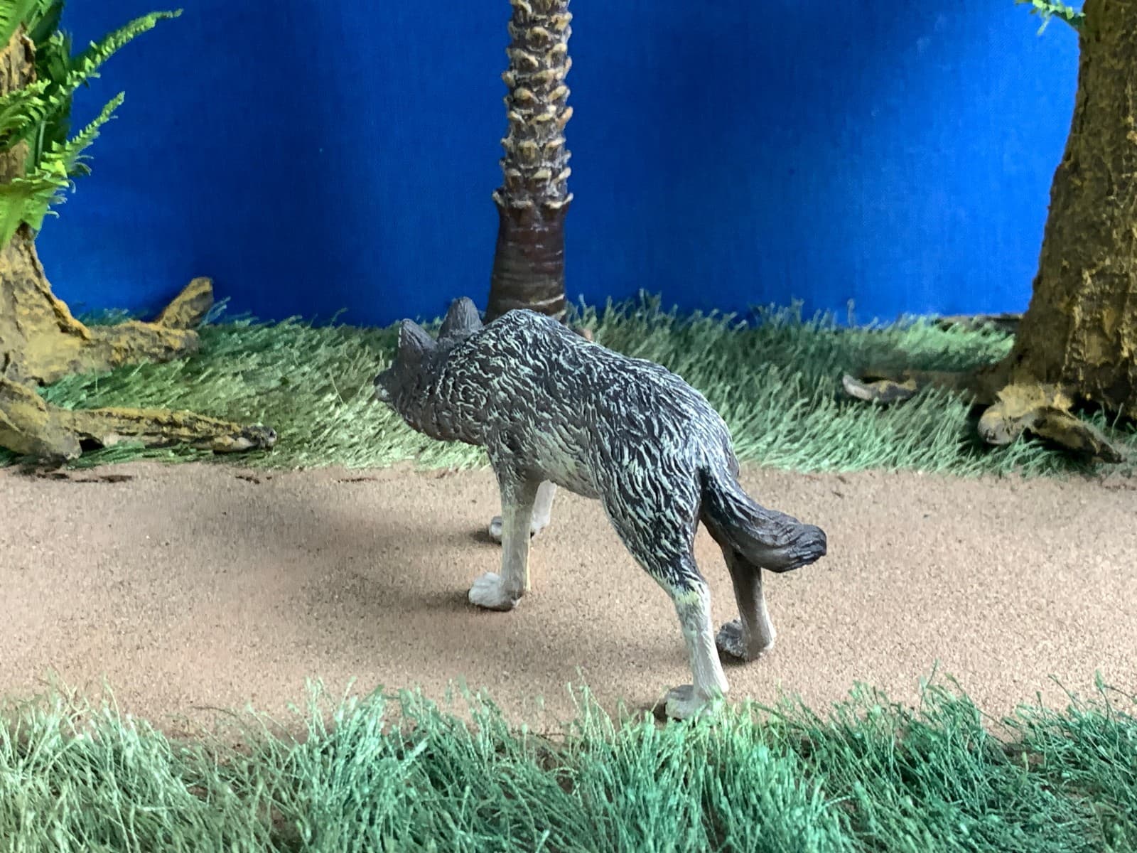 CollectA #88845 Timber Wolf Hunting Wildlife Toy Model Figure 2009 4