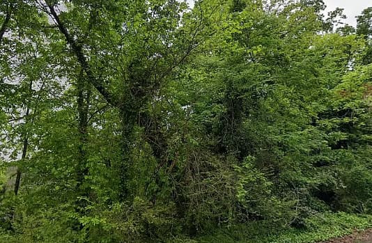 (0.31 acres) Residential, Vacant Lot For Sale In Pinson, AL. $3,900 2