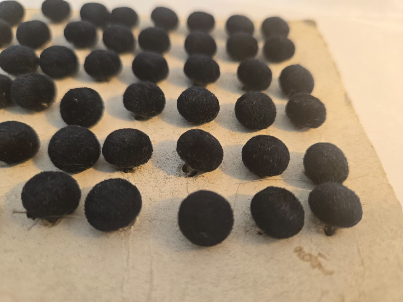 antique,19th C,NEW OLD STOCK,48 VELVET 'DARK BLUE' CLOTH / METAL SHANK,BUTTONS 5