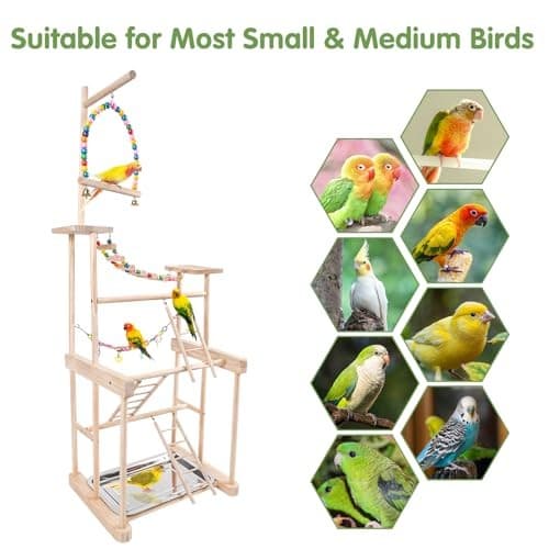 Bird Playground 4 Layer, Parrot Playground Bird Play Stand for Parakeet 4 layer 4