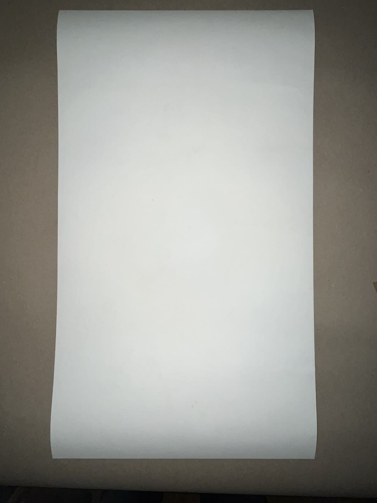 Phish Poster 2004 Summer Tour Scott Campbell Spac Deer Creek Alpine Valley 3