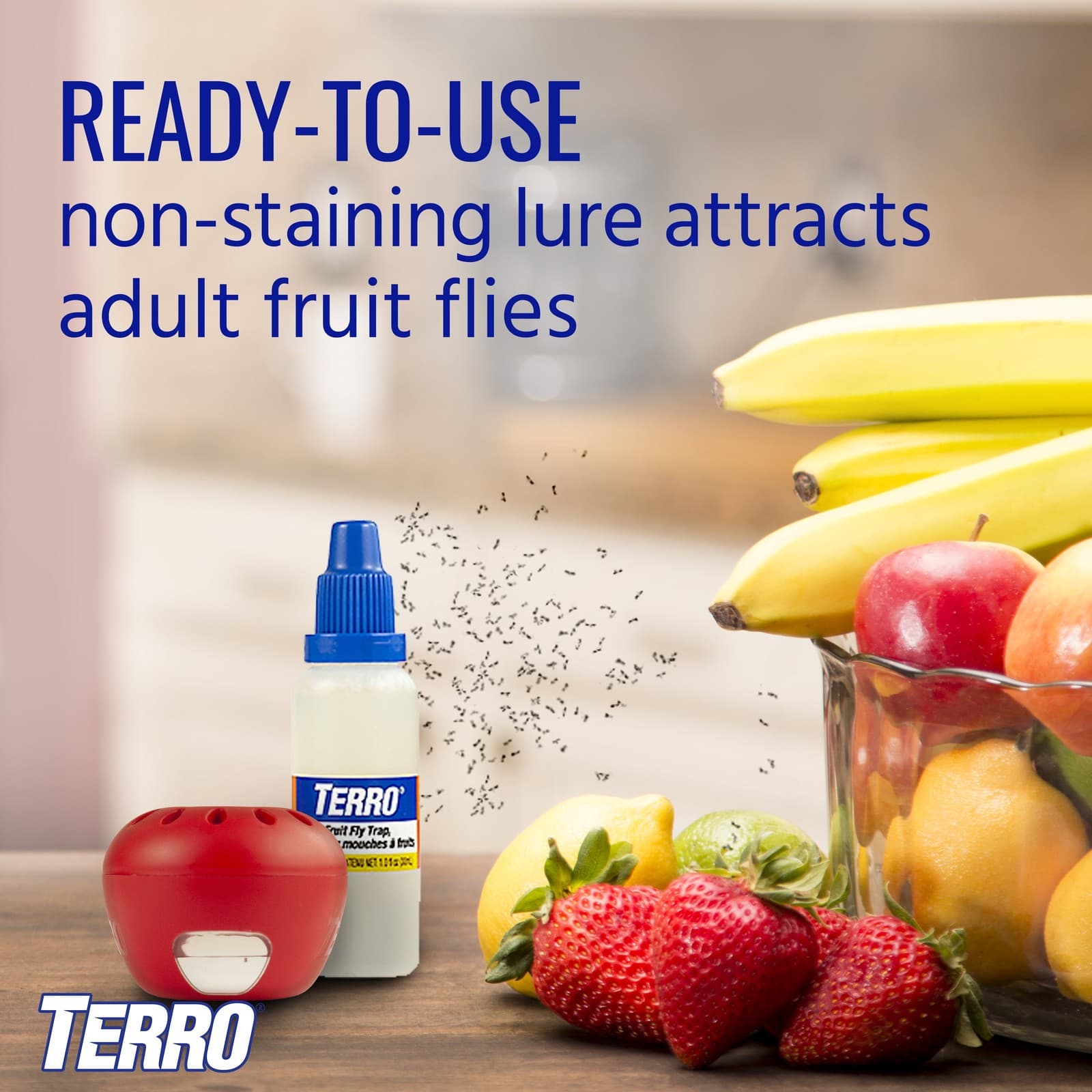 TERRO Fruit Fly Trap, Read-to-use 2 Pack Each trap lasts for up to 45 days 2