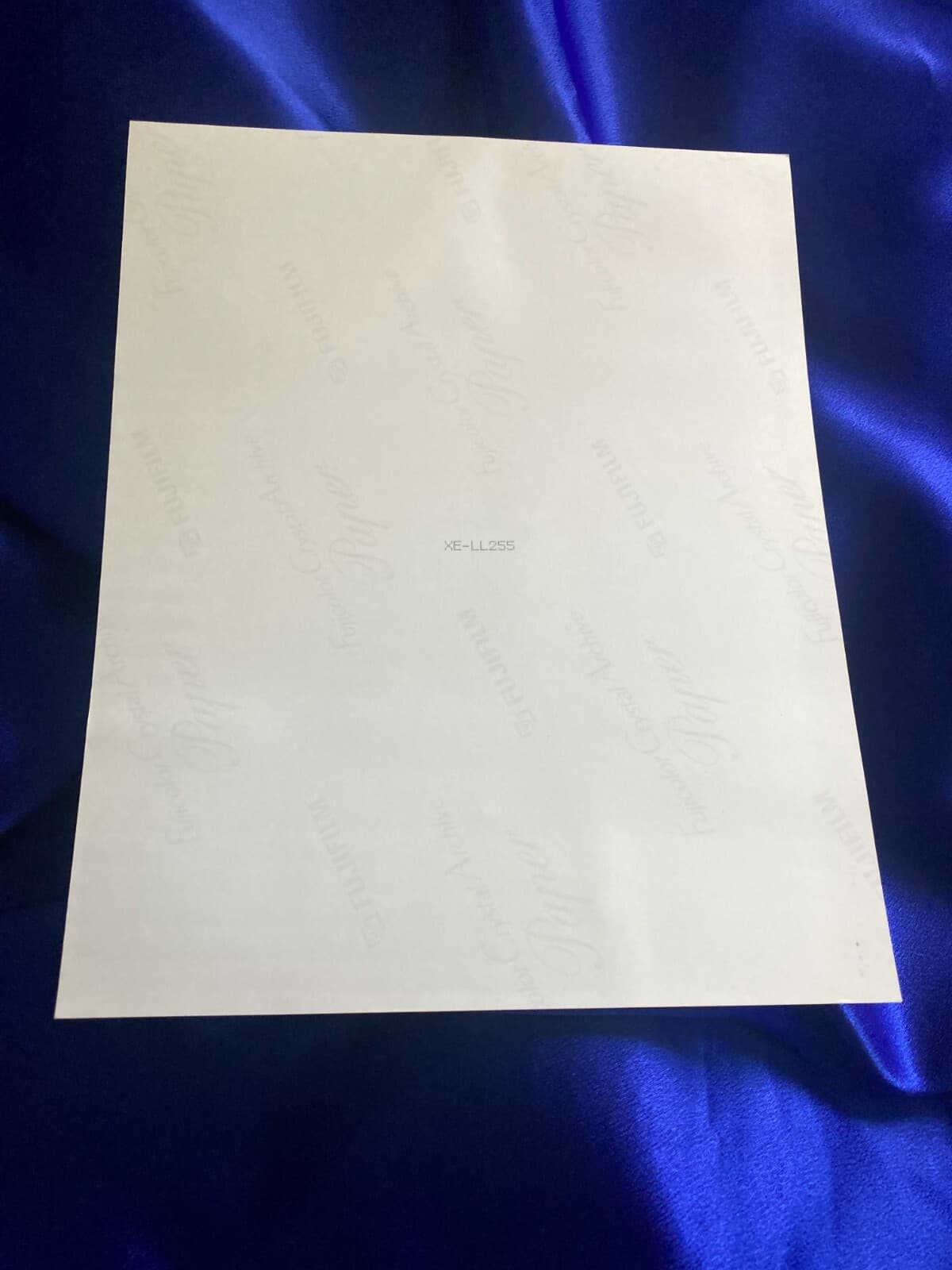 VERY RARE Official Xena (Lucy Lawless) 8x10 SIGNED Photo / Picture XE-LL 255 3