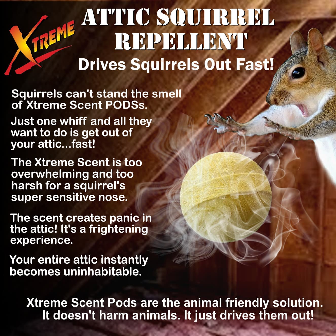 Xtreme Attic Squirrel Repellent. Drives Squirrels Out Fast! 5 Pack 3