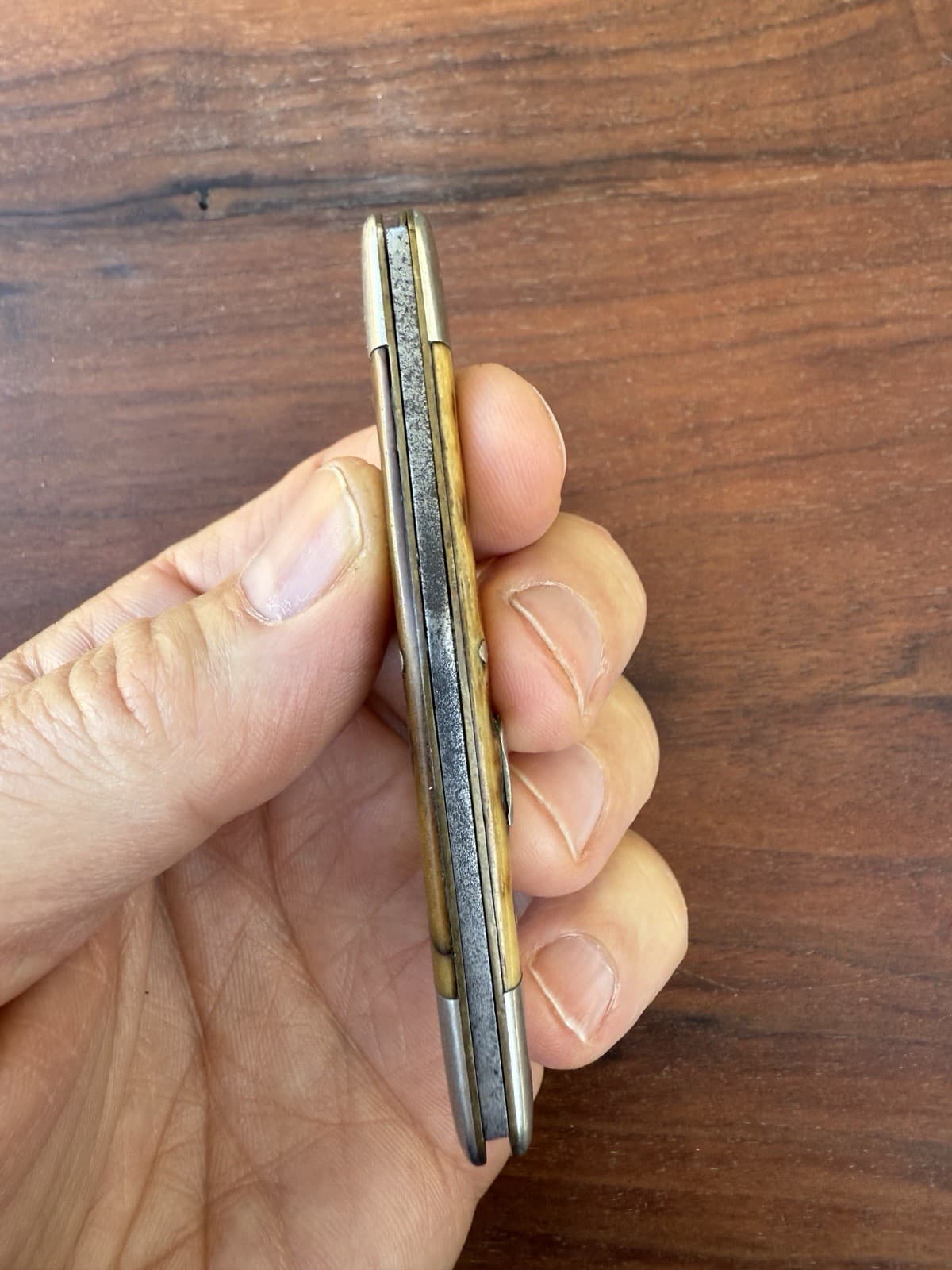 A GREAT WILBERT CUTLERY Co for SEARS 1908-21 POCKET KNIFE WORN BONE SWELL CENTER 3