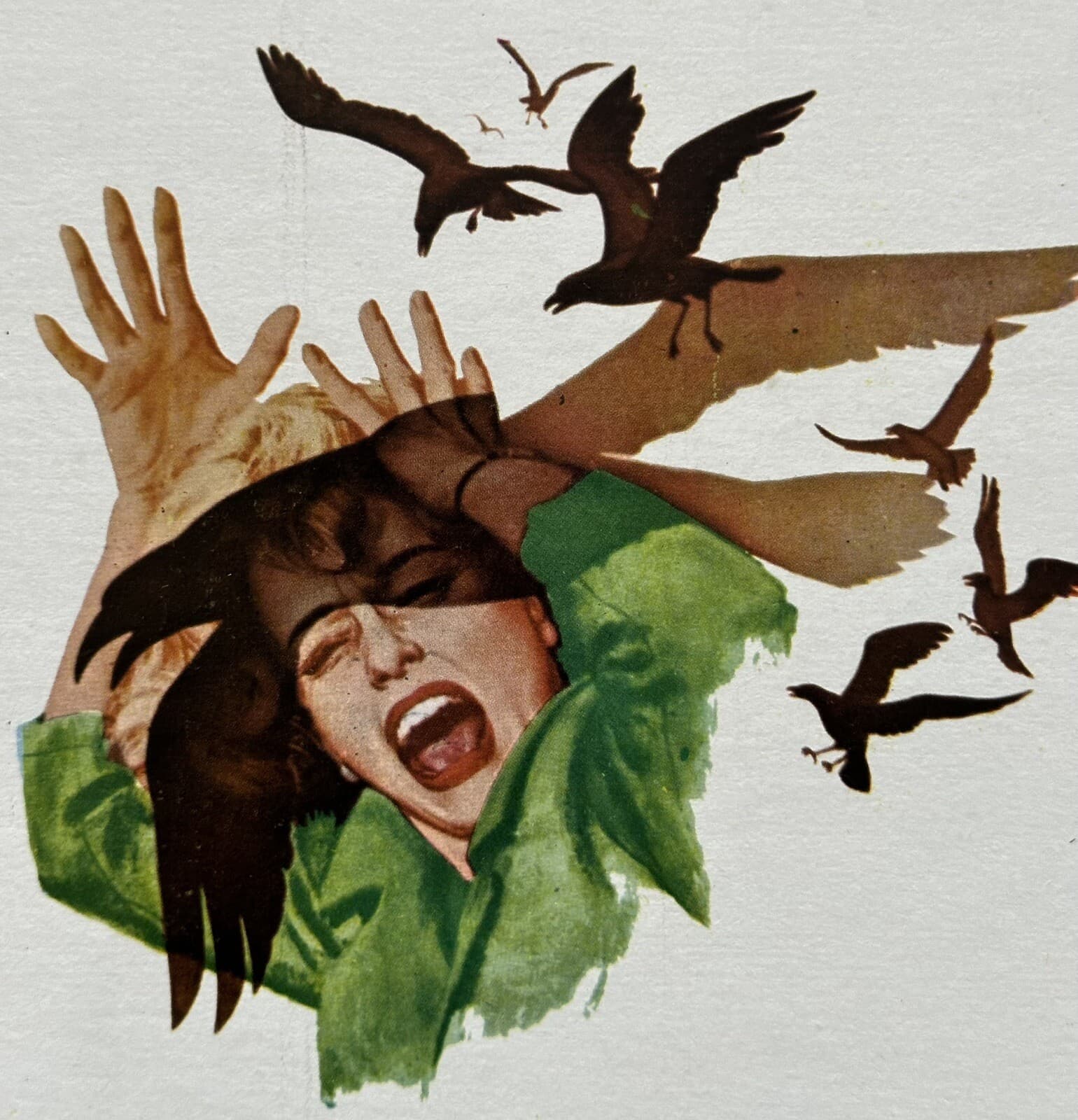 THE BIRDS TIPPI HEDREN ALFRED HITCHCOCK MEXICAN LOBBY CARD 1963 UNUSED 2