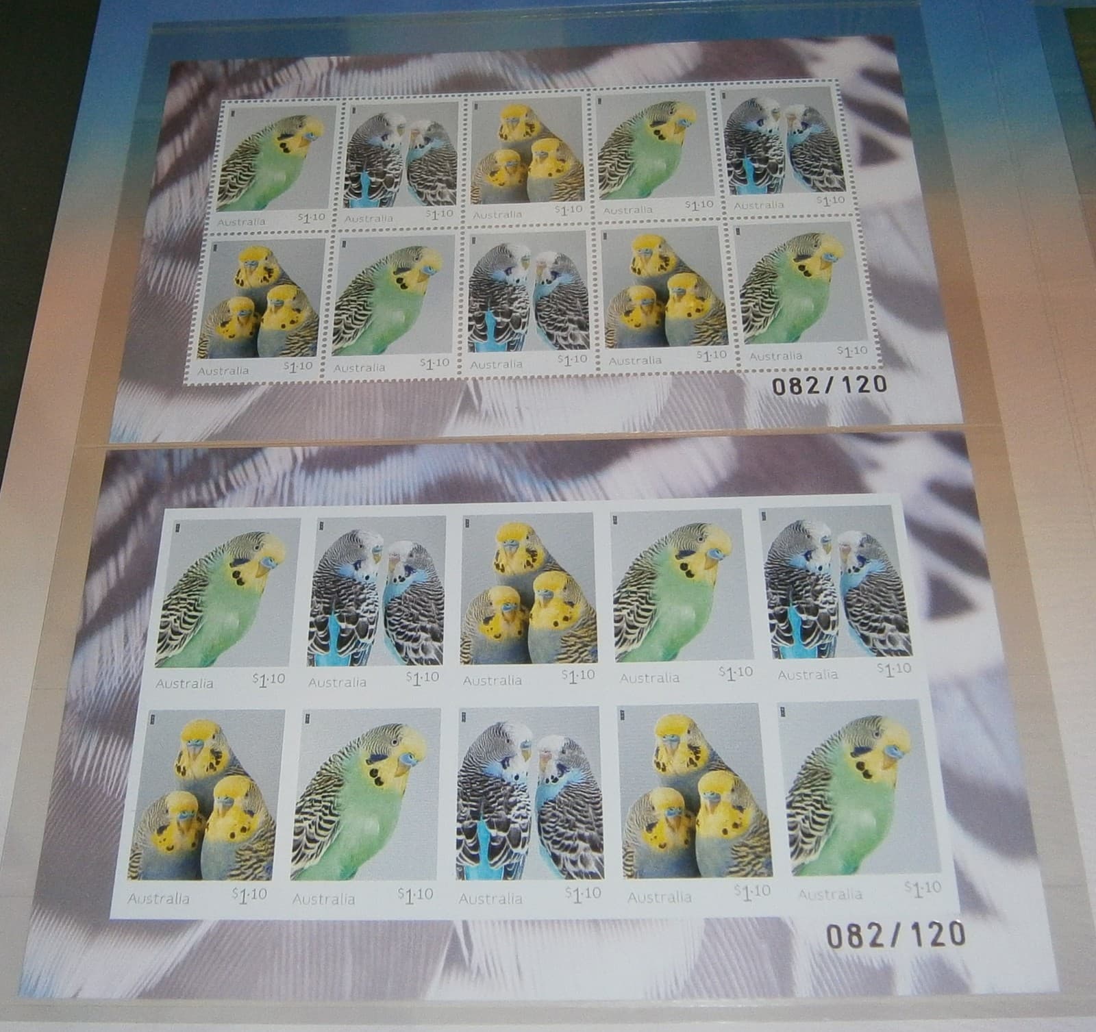 Australia 2022 Budgerigars minisheet collection - #082/120 2
