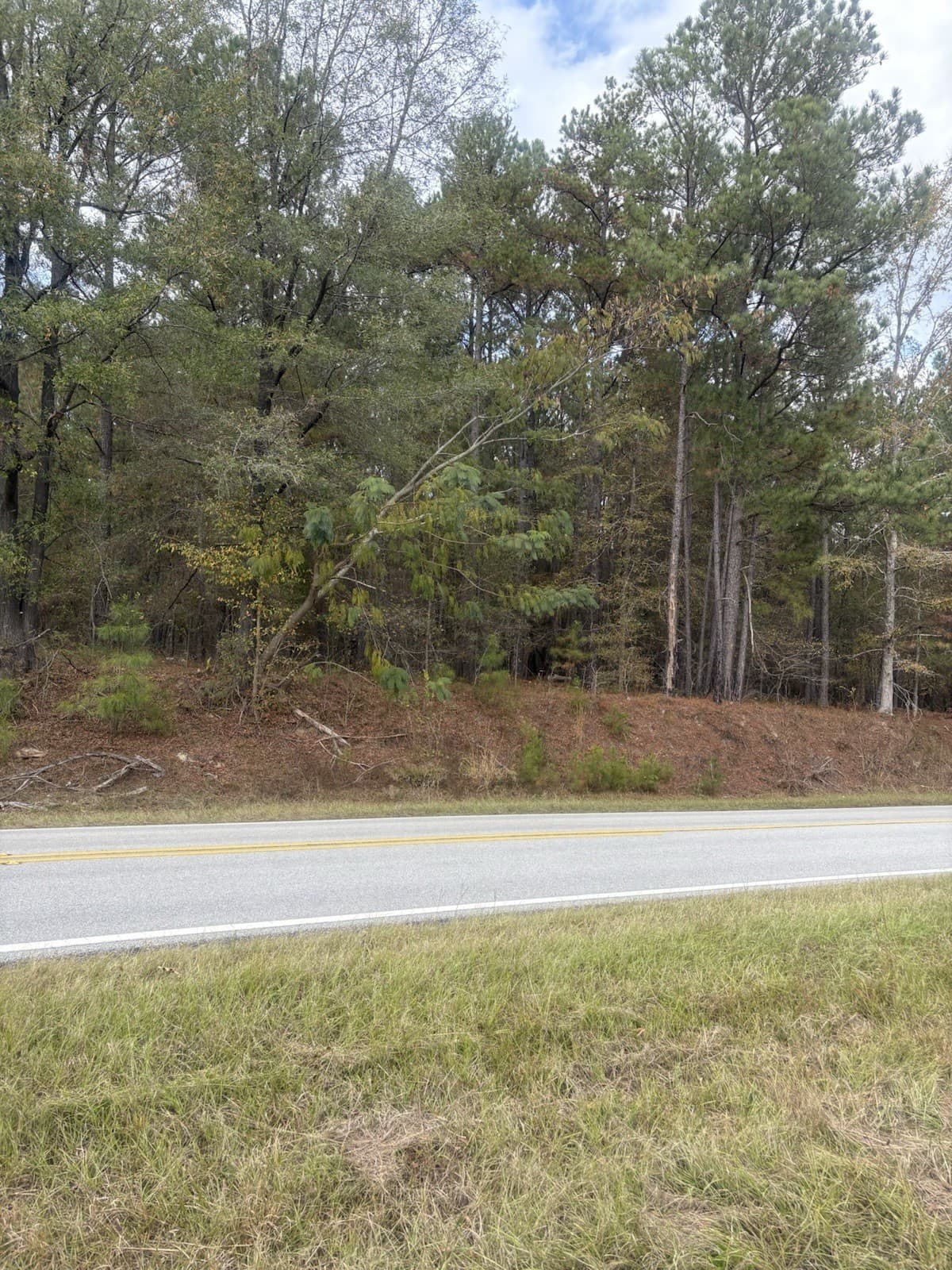 Property Lake Sinclair 22 Acres Zoned Agriculture Surrounded National Forestry