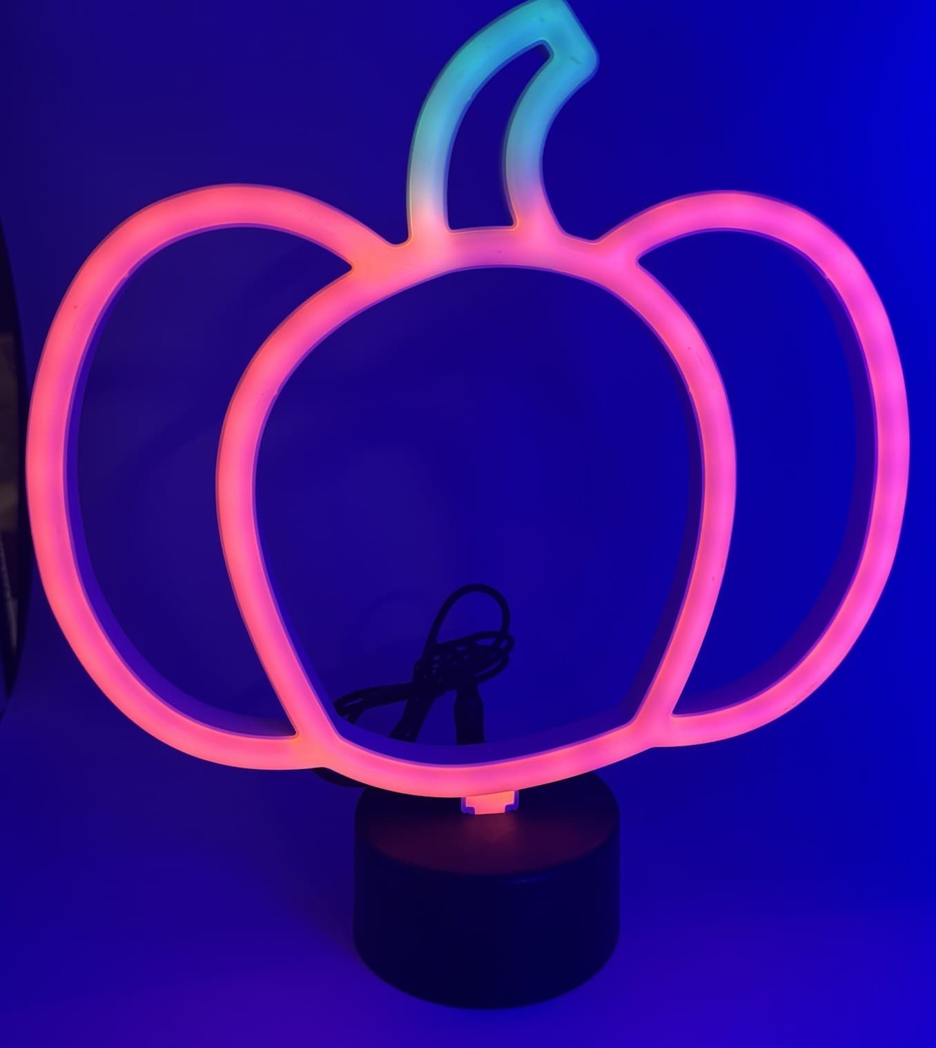 (2) LED Neon Sign Art Halloween Pumpkin Ghost Lights Decoration USB Battery 4