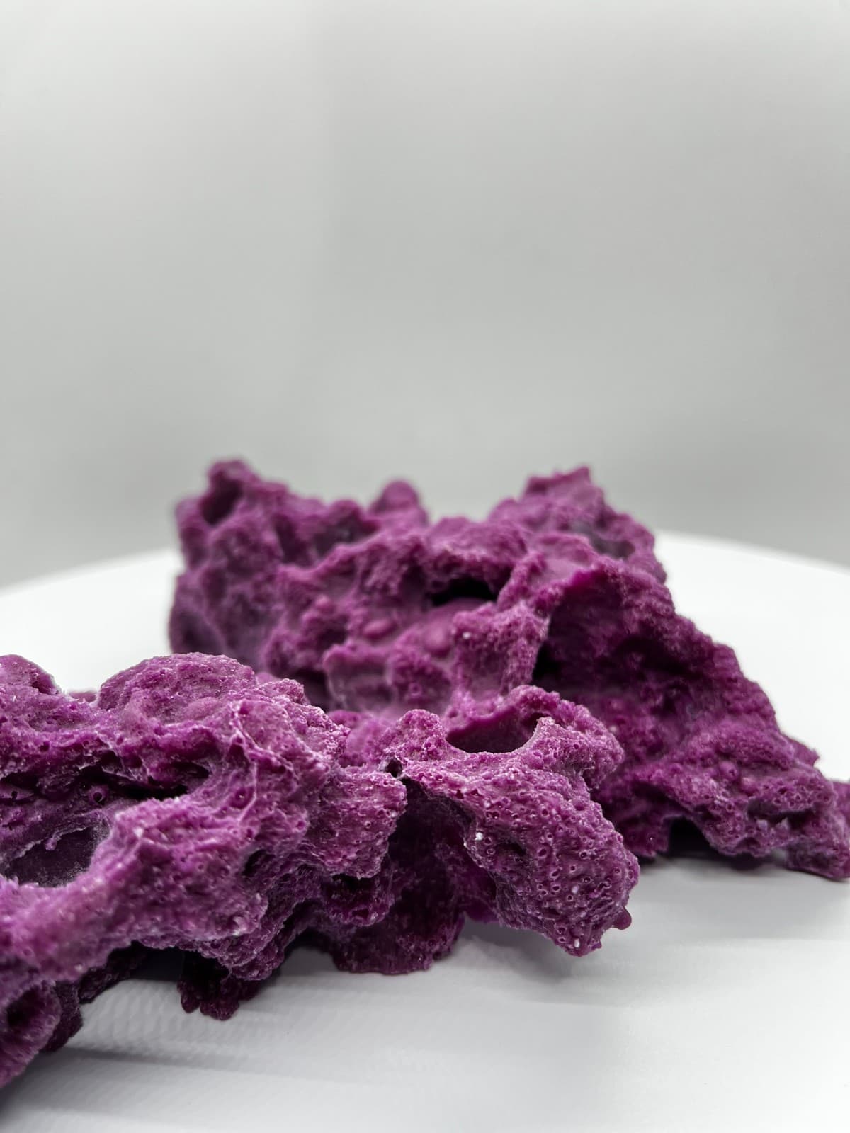 8 Hole Sandbed Frag Rack/Rock base for Live Coral Plug Ons 3