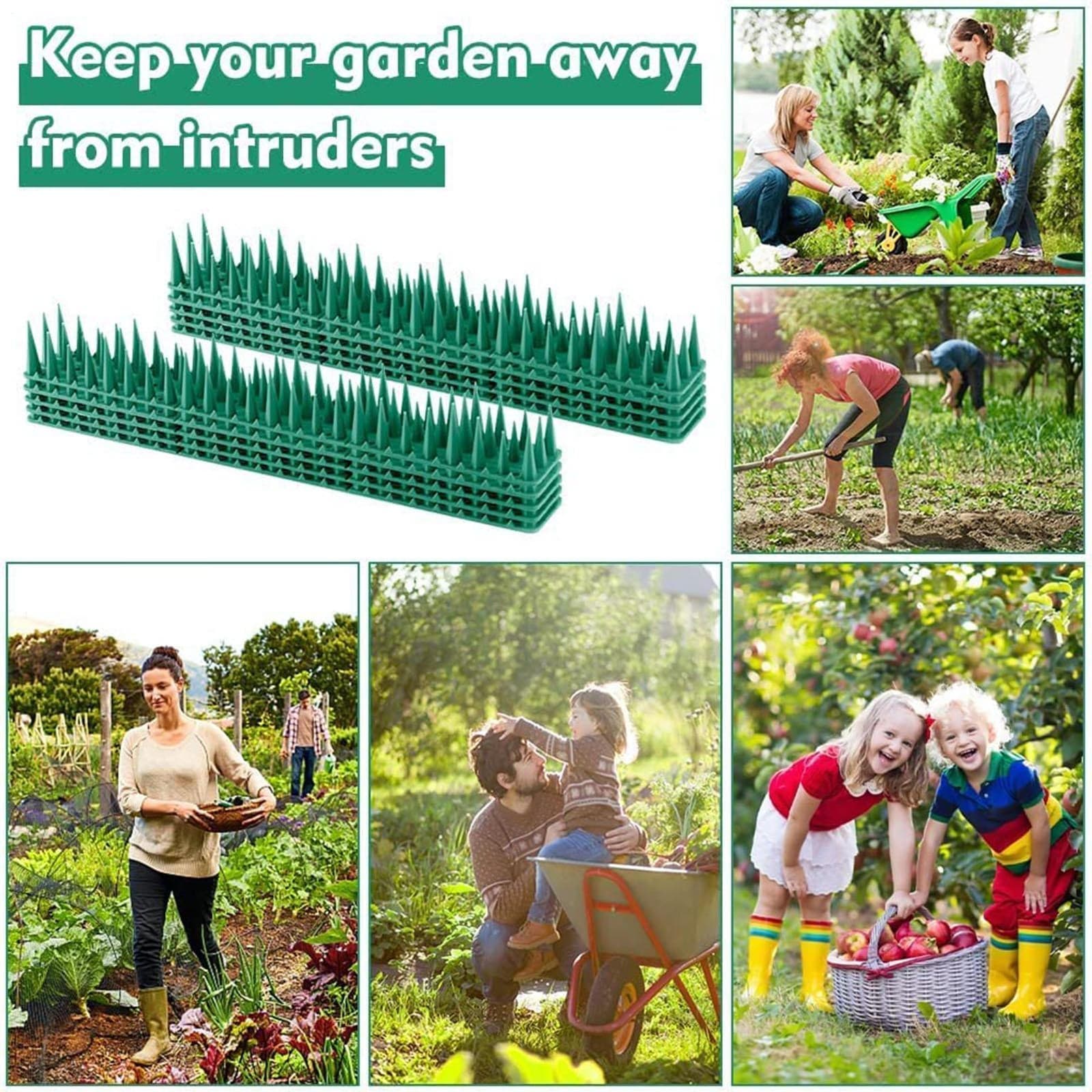 Anti Bird Spikes Cat Fence Spikes For Small Birds Pigeon Outdoor effective 4