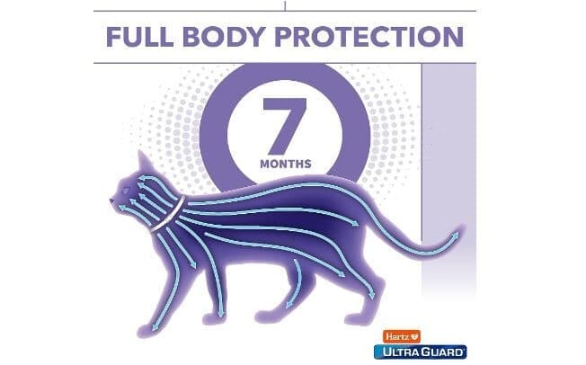 Hartz UltraGuard Flea & Tick Collar for Cats & Kittens 6