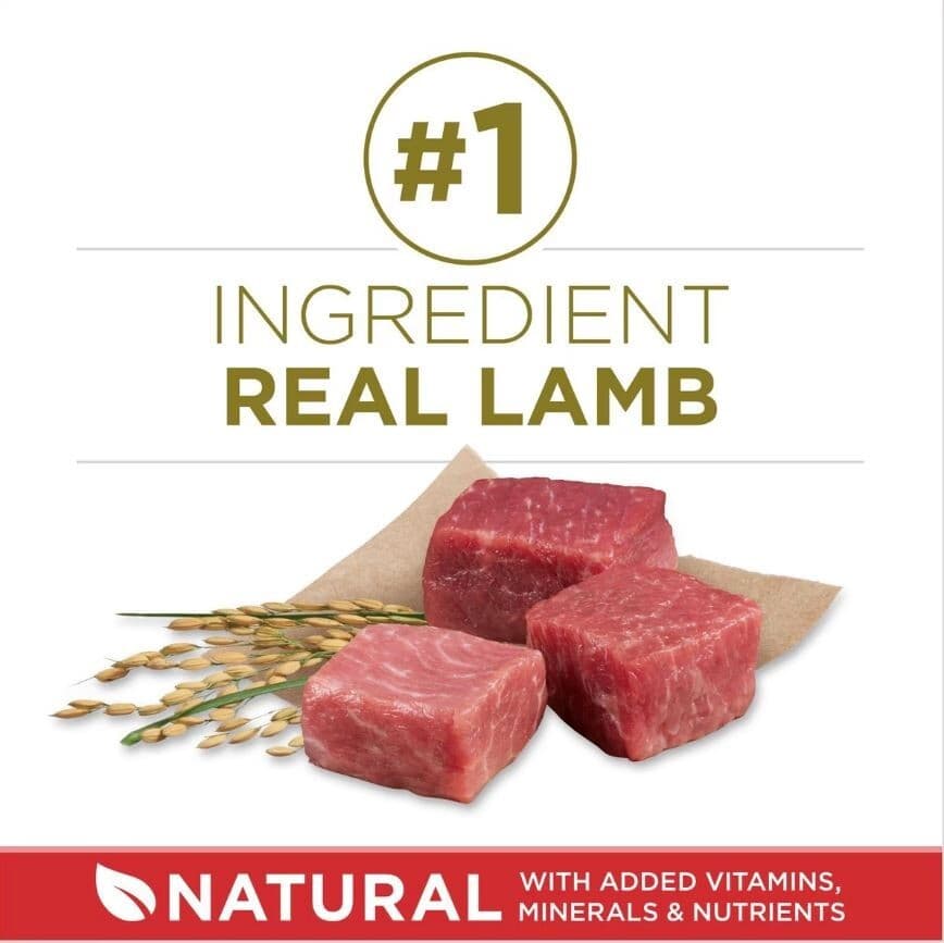 31.1LB lb Purina ONE Lamb & Rice Formula Dry Dog Food 4