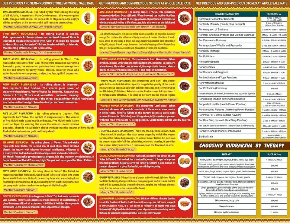 Original 14 Mukhi Rudraksha (Lab Certified) Origin - Nepal/Good Shape & Matured 4