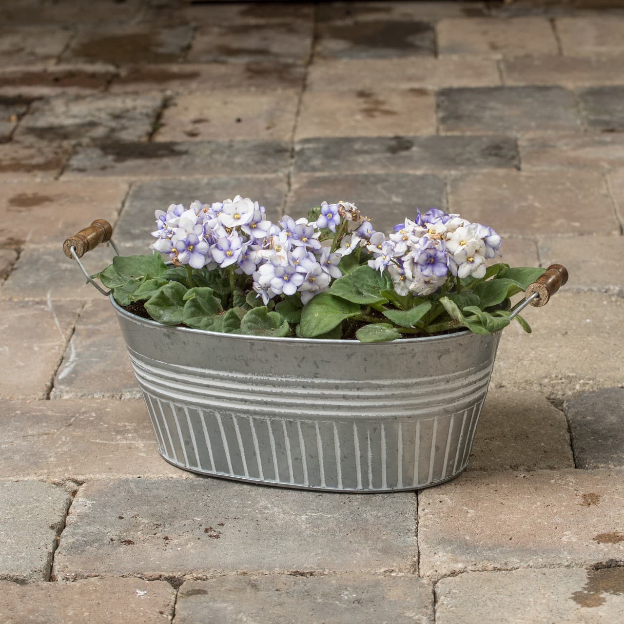 14" Galvanized Basin Tub - Oval with White Wash Design, Handles and Drain Holes 3