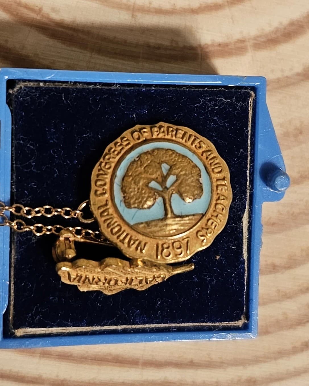 Vintage 10K Gold National Congress Parents Teacher PTA Lapel Pin 1897 California 2