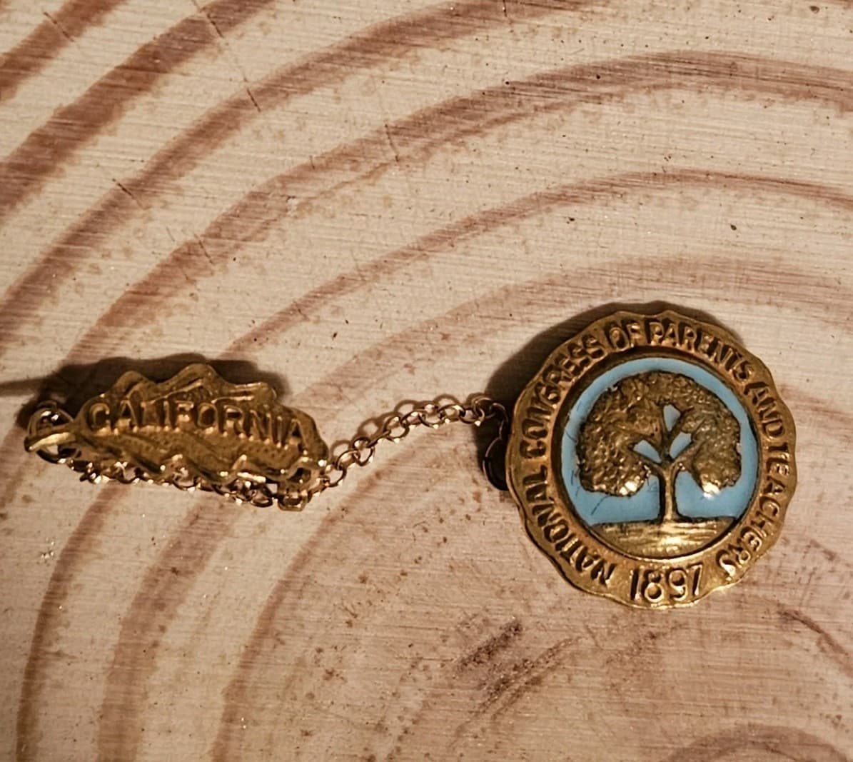 Vintage 10K Gold National Congress Parents Teacher PTA Lapel Pin 1897 California