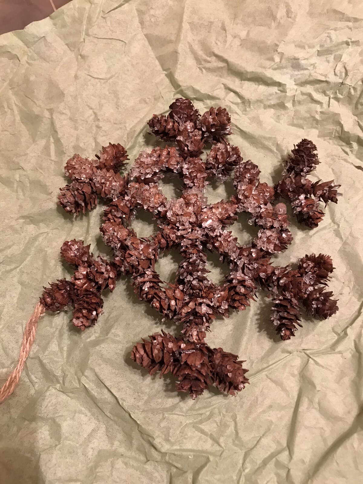 100+ Mini Hemlock Pine Cones: crafts,wreaths,more. SLOW GROWTH YR /ASK B4 BUYNOW 4
