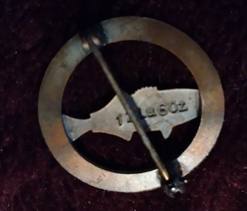 Field & Stream Copper Fishing Honor Badge vtg Award Pin 12 lb 6oz blueFish 2