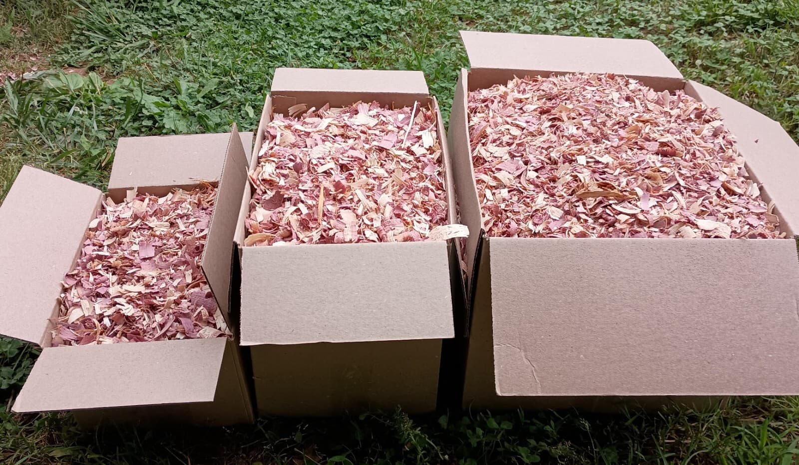 Red Cedar Shavings Pet Bedding Fresh Dry Natural MULTIPLE SIZES 2